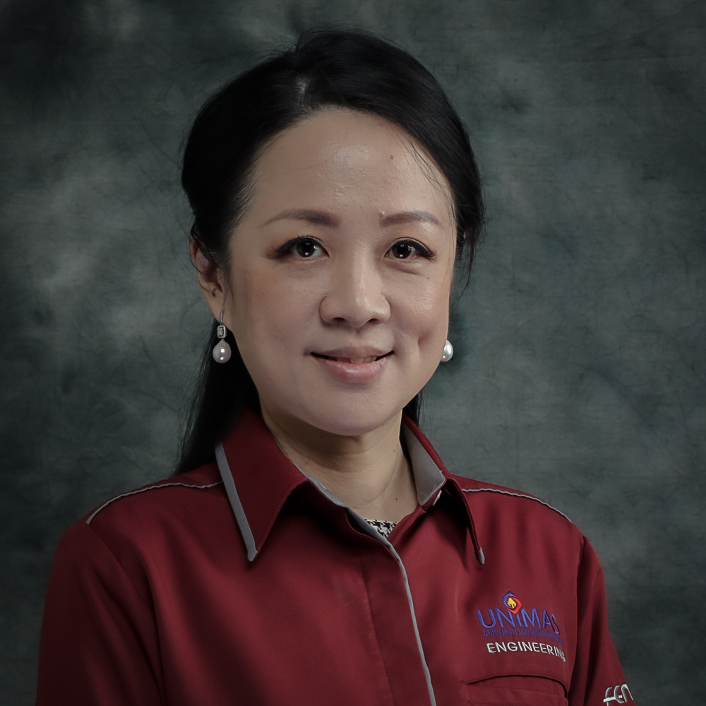Associate Professor Ir. Dr Ting Sim Nee