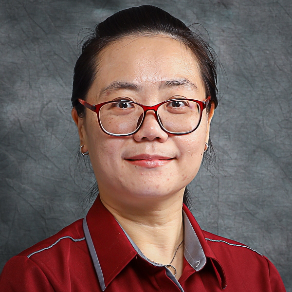 Associate Professor Ir Dr Lim Soh Fong