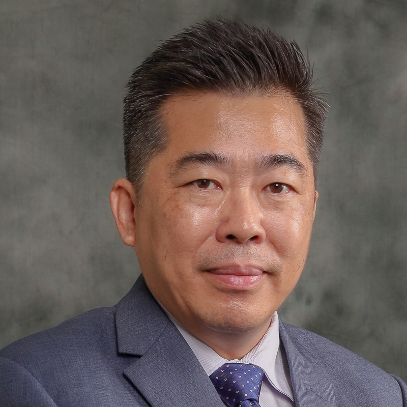 Professor Ir. Dr Lai Sai Hin