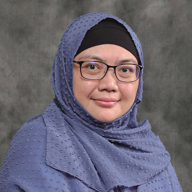 Professor Ir Dr Siti Noor Linda bt Taib